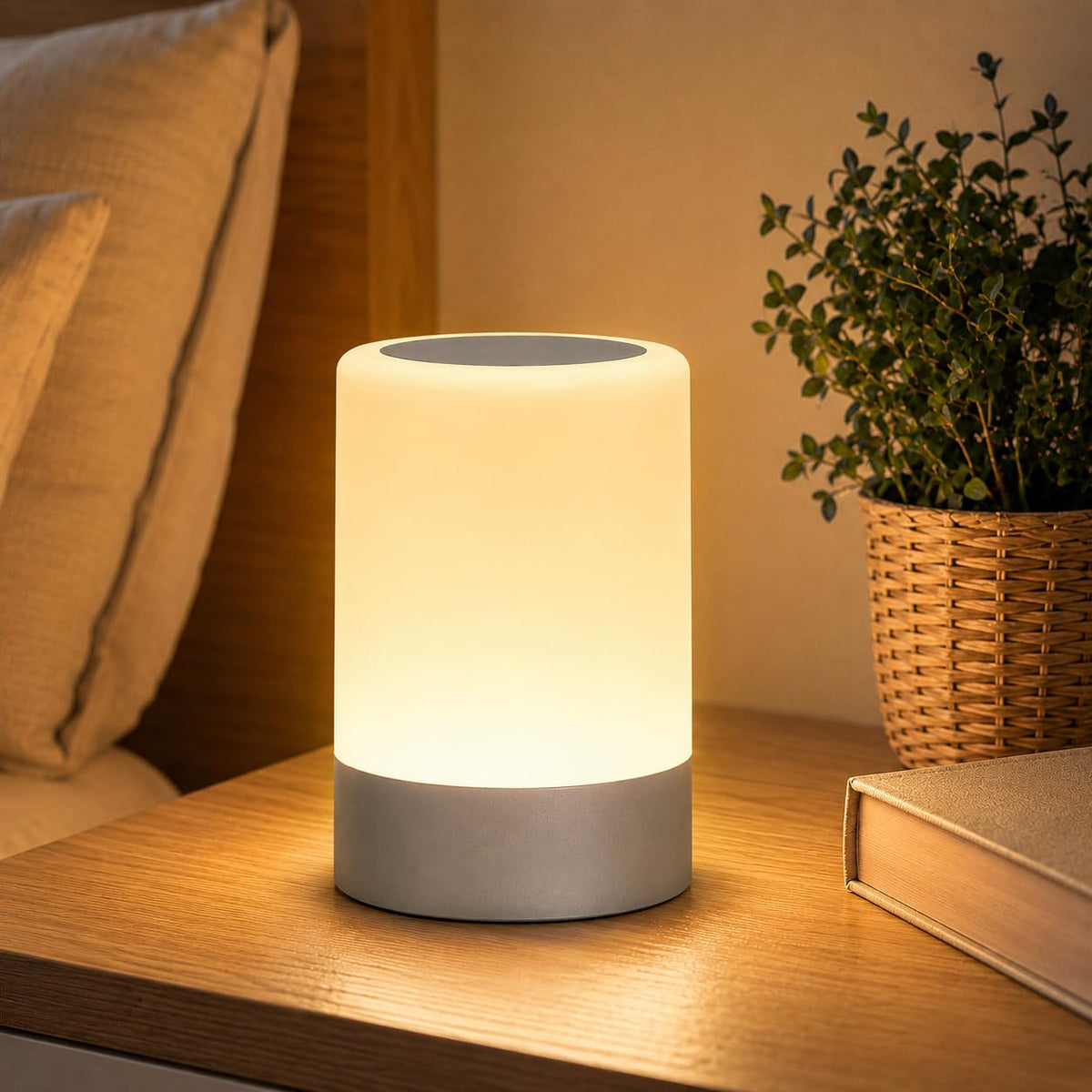 LED Night Light Touch Lamp